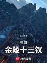 亮剑金陵十三釵