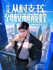 从村支书到仕途巅峰