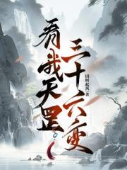 看我天罡三十六变